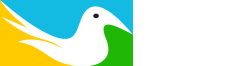 LONG-ccr-trans1